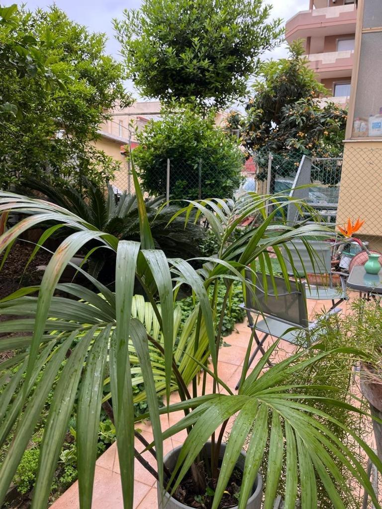 Appartement Tangerine Tree House à Cagliari Extérieur photo